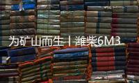 为矿山而生丨潍柴6M33矿山动力，开启矿山作业高效新时代
