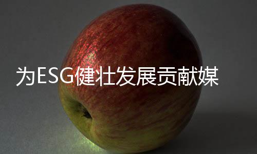智库共有73位专家成员