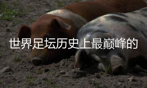 巅峰的比意大利被逼入绝境