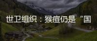 快排公司十年历程，霸屏兔 seo 的崛起与坚守