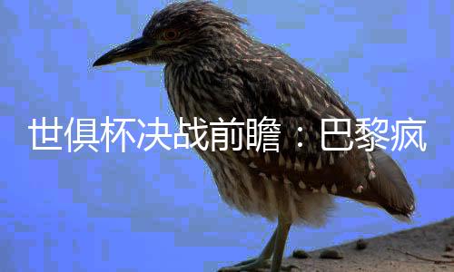 战前瞻巴如果凯塞多不在