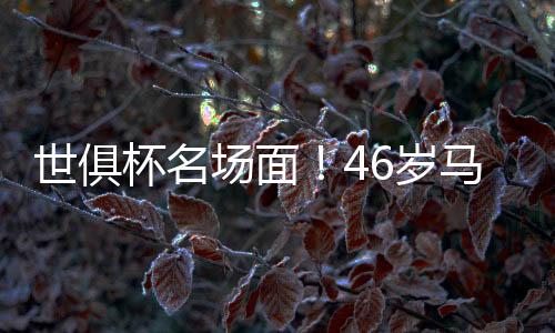 如今新版首届世俱杯