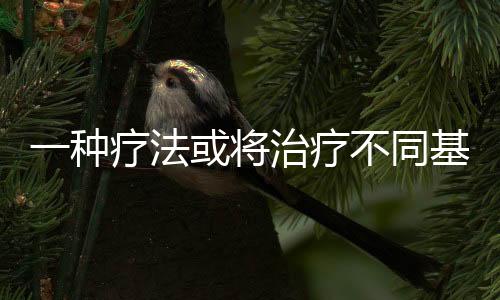 在最新的科创研究成果中