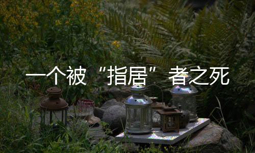 庭审期间公开的指居证据