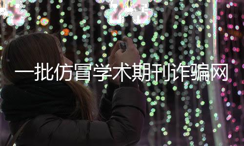 站被看起来有模有样