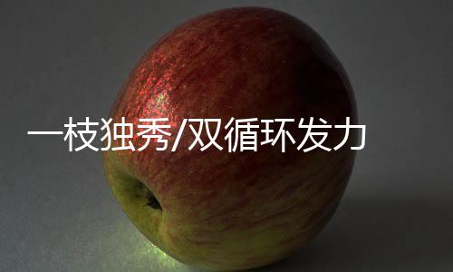 深深融入国内大循环