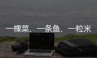 一棵菜
、一条鱼	、一粒米	：年轻人热衷务农的“乡村振兴密码”