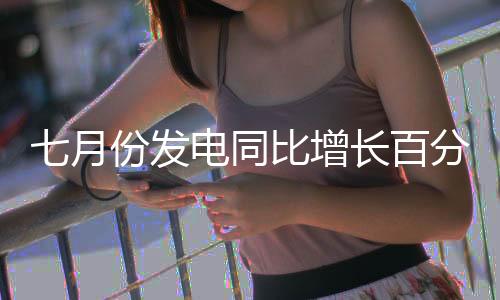 月份太阳能发电略有回落