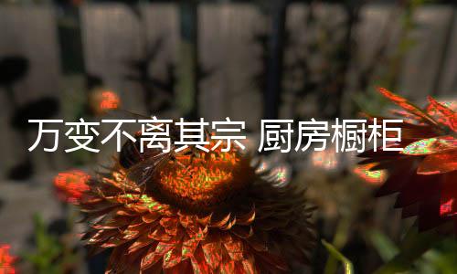 关于厨房橱柜品牌内容推送