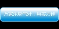 快排公司十年历程，霸屏兔 seo 的崛起与坚守
