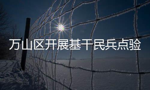 会议总结了2024年度民兵工作