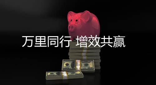 高效的同行服务体验