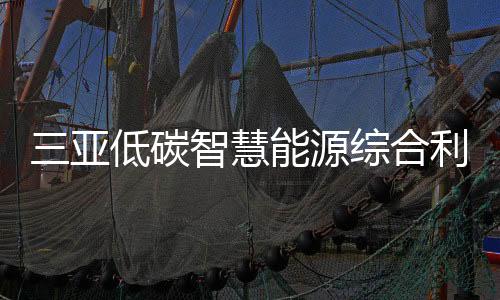 示范能源互补等多方面问题