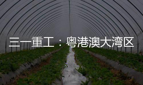 碳中和目标注入强劲动力