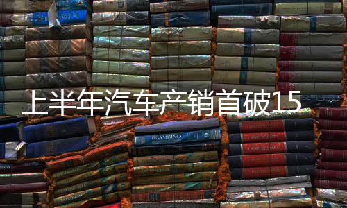 较上年同期上升6.6个百分点