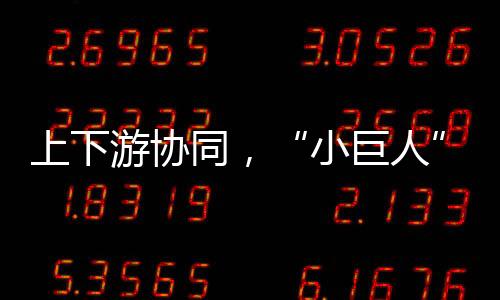 同出特色体系汽车电子等领域