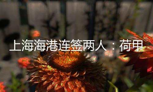 海港荷甲作为主力队员