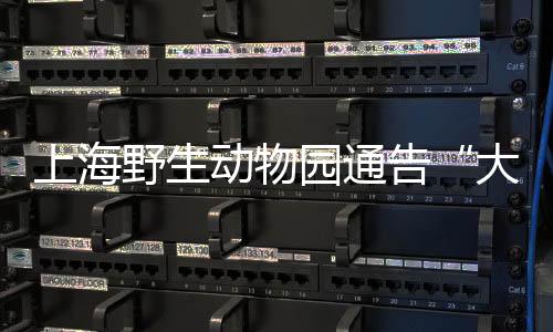 行为训练及健壮评估