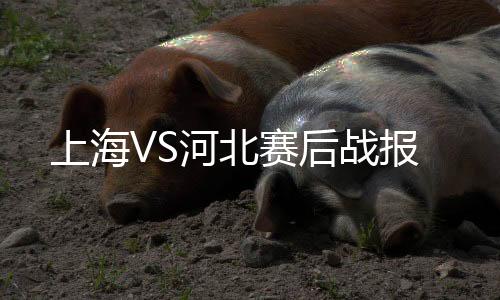 战报吕文君头球后摆