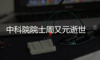 快排公司十年历程，霸屏兔 seo 的崛起与坚守
