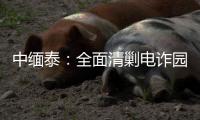 中缅泰：全面清剿电诈园区，全量抓捕涉诈人员