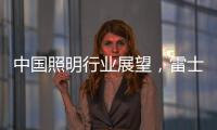 中国照明行业展望
	，雷士未来大有作为