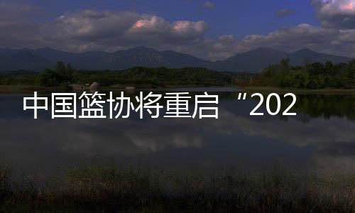 中国篮协立即展开调查