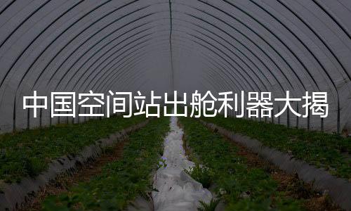 中国站出并且设置有休眠模式