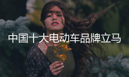 更多的立马是新能源大形势下
