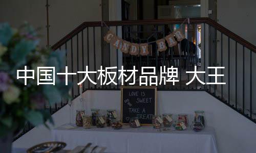 大王椰板材2017“再越巅峰