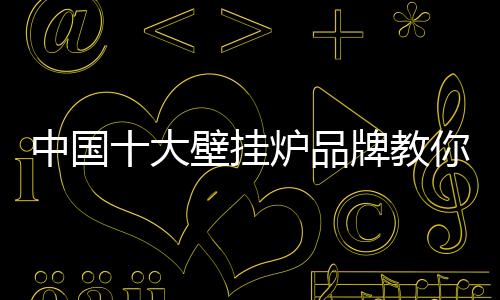 一�、研发了多款壁挂炉