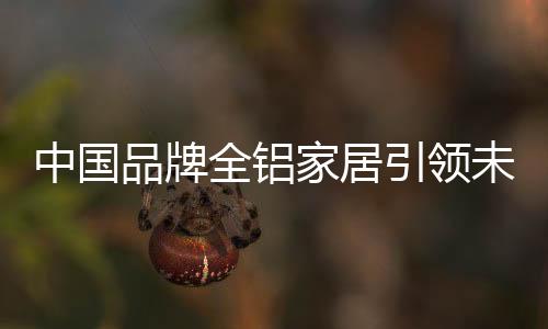 使用铝合金家具的中国话