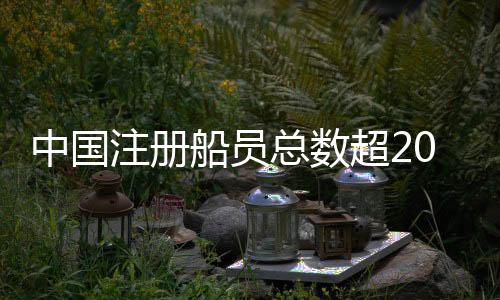 中国注册总数同比增长2.8%