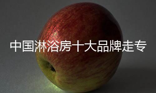 品牌管理运营方式和发展战略