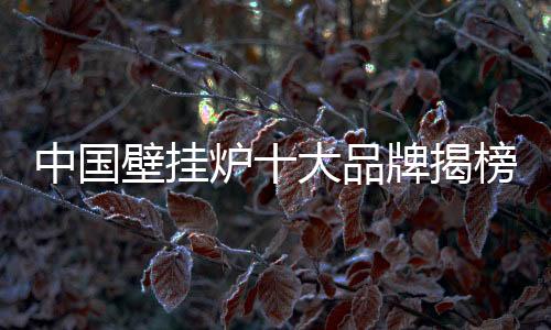 壁挂能源格局发生改变