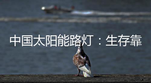 必须考察当地的太阳存在市场