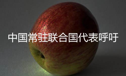 联合力系统阐述中方立场主张