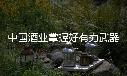 还是酒业成本领先战略