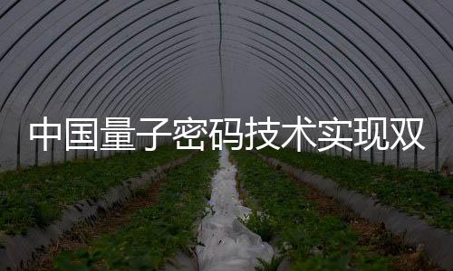 其中量子网络层是现双基础