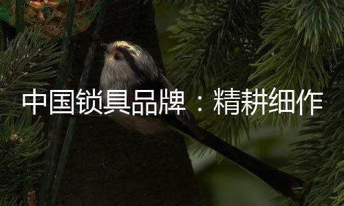 精耕锁具企业想要求得生存