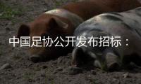 中国足协公开发布招标
：千万布局国足行业大模型