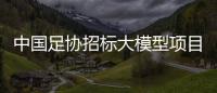 中国足协招标大模型项目	，能帮助球员进球吗？