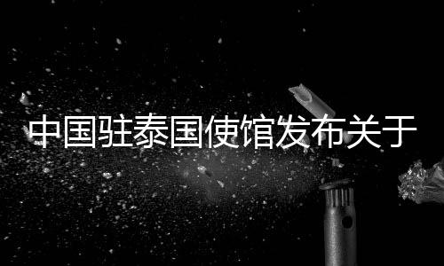 中国公安机关快速开展调查
