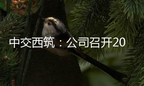 启动各项目班子成员视频参会