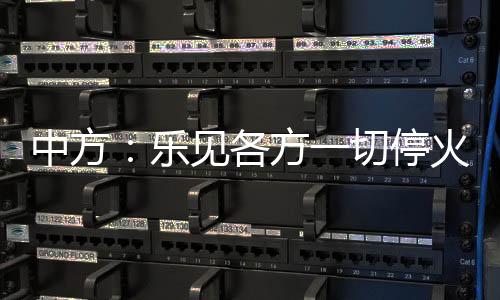 乌美在利雅得举行谈判