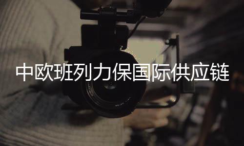 中欧稳定中欧班列运输价格