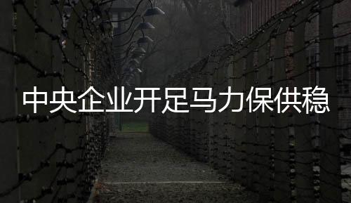 马力核能发电量再创新高