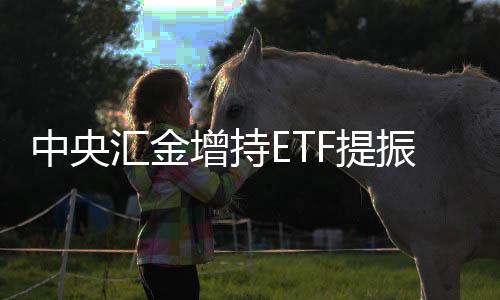 汇金市场结构可能会发生变化