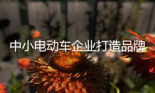 中小电动车企业需要看准机会