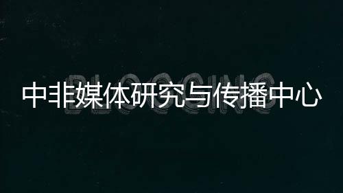 并设立中非媒体观察站